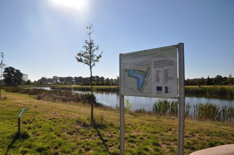 Baumlehrpfad am Regenrückhaltebecken im Sternbusch in Cloppenburg